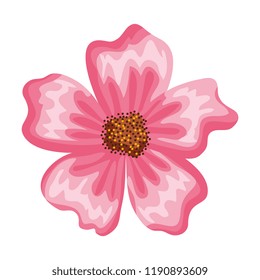 beautiful flower isolated icon