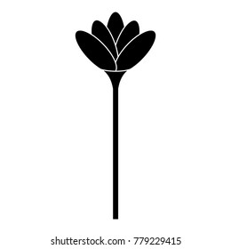 beautiful flower isolated icon