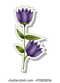 beautiful flower isolated icon vector illustration design