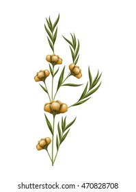 beautiful flower isolated icon vector illustration design