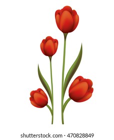 beautiful flower isolated icon vector illustration design
