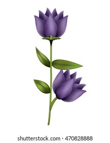 beautiful flower isolated icon vector illustration design