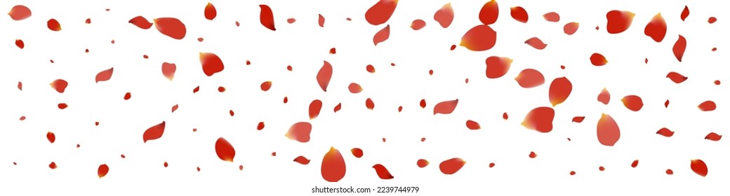 Hermoso Vector Japonés De Flor Fondo Panorámico Blanco. Patrón de desenfoque. Ilustración De Caída Floral Rosa. Delicado afiche japonés de Rose.