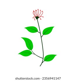 beautiful flower with leaf decorative icon on white background