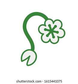 beautiful flower with leaf garden vector illustration design