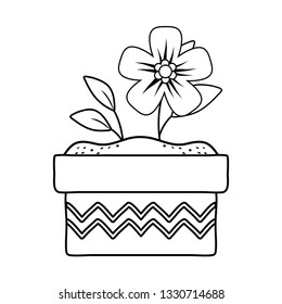 beautiful flower and leafs in ceramic pot