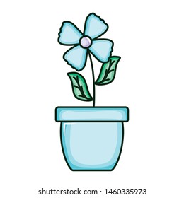 beautiful flower with leafs in ceramic pot