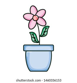 beautiful flower with leafs in ceramic pot