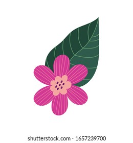 hermosa flor con hojas decoración ilustración vectorial diseño
