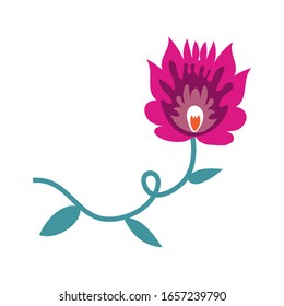 beautiful flower with leafs decoration vector illustration design