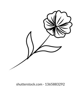 beautiful flower with leafs decorative icon