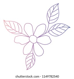 beautiful flower and leafs garden