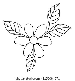 beautiful flower and leafs garden