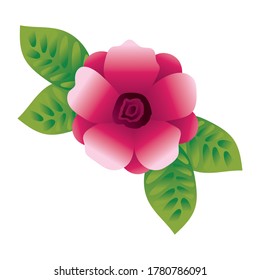 beautiful flower and leafs garden gradient style icon vector illustration design