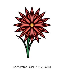 beautiful flower with leafs garden vector illustration design