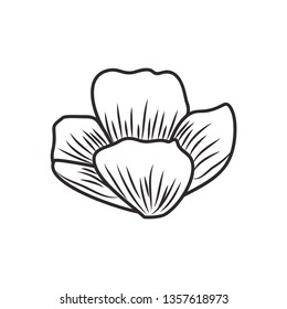 beautiful flower with leafs isolated icon