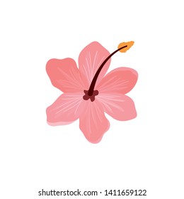 beautiful flower with leafs in white background