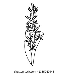 Beautiful flower with leaves cartoon in black and white