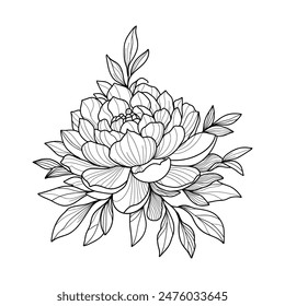 beautiful flower and leaves vector illustration design. Black and white line drawing of a blooming flower with leaves