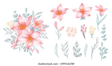 beautiful flower lily pink isolated and leaf