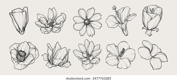 Beautiful flower line art illustration set