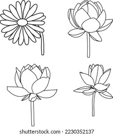 Beautiful flower line art Vector