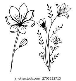 Beautiful Flower Line Art Vector
