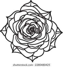 A beautiful flower line art work