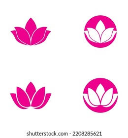 beautiful flower lotus  icon vector illustration template design