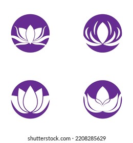 beautiful flower lotus  icon vector illustration template design