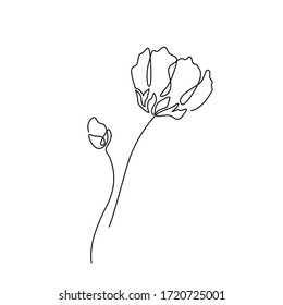 Beautiful flower in minimal line style. Modern fashion linear poppy for logo, emblem template. Vector illustration.