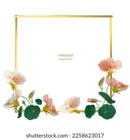 Beautiful flower. Nasturtium. Floral background. Isolated. Round leaves. Green. Pink.