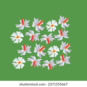 Beautiful Flower, Nyctanthes arbor-tristis. Night-flowering Jasmine parijat shiuli coral jasmine. Hand drawn seamless pattern. shiuli flower vector art work. Bunch of White Tuberose Flowers