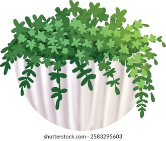 beautiful flower on the aesthetic vases, carnation, leaves,