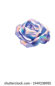 Beautiful flower on a light background