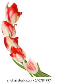Beautiful flower on a white background. With copyspace. And also includes EPS 10 vector