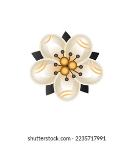 Beautiful flower on white background