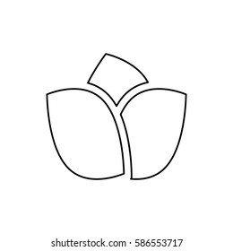 Beautiful flower ornament icon vector illustration graphic design
