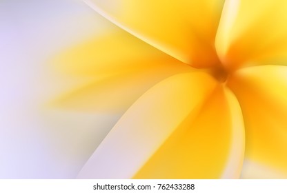 A beautiful  flower  Pachipodium Lamer, Madagascar palm, Pachypodium lamerei Background. Vector Illustration. EPS10