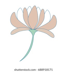 Beautiful flower with petals