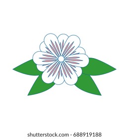 Beautiful flower with petals
