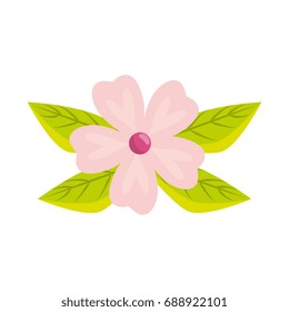 Beautiful flower with petals