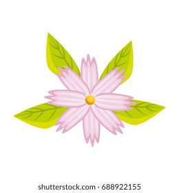 Beautiful flower with petals