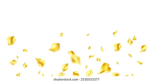 Beautiful flower petals background vector illustration.