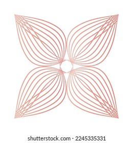 beautiful flower petals, flower line design