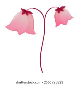 Beautiful flower pink bell single isolated on white background. Botanical clipart. Perfect for cards, logo, decorations, spring and summer designs.