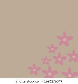beautiful flower in pink colour over the light brown background
