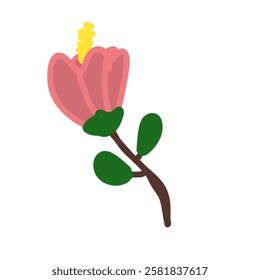 Beautiful the Flower pink and good