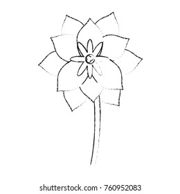 Beautiful flower plant