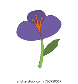 Beautiful flower plant